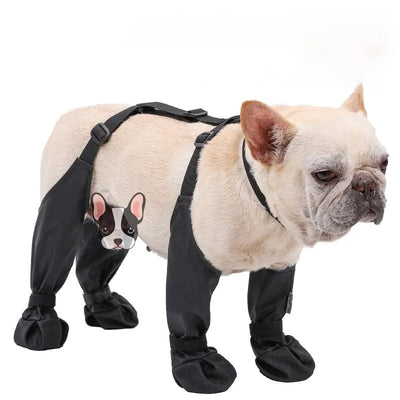 Suspender Boots For Dogs